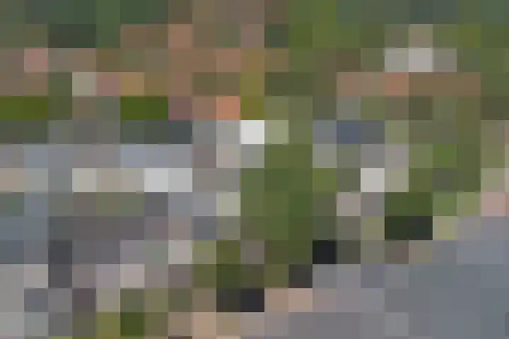 Hommelseweg 353 Arnhem thumbnail 38