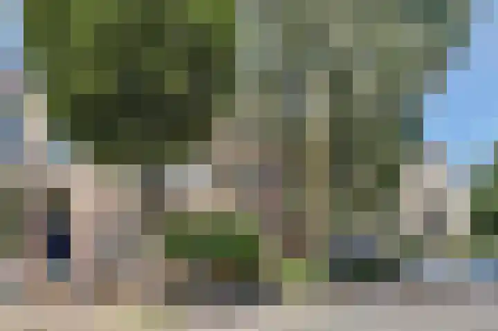 Hommelseweg 353 Arnhem thumbnail 45