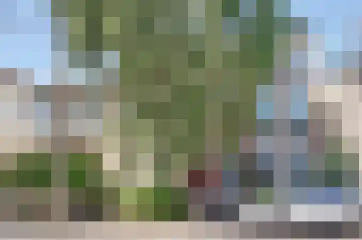 Hommelseweg 353 Arnhem thumbnail 5