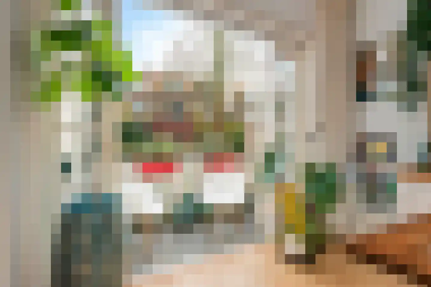 Hommelseweg 384 Arnhem thumbnail 13