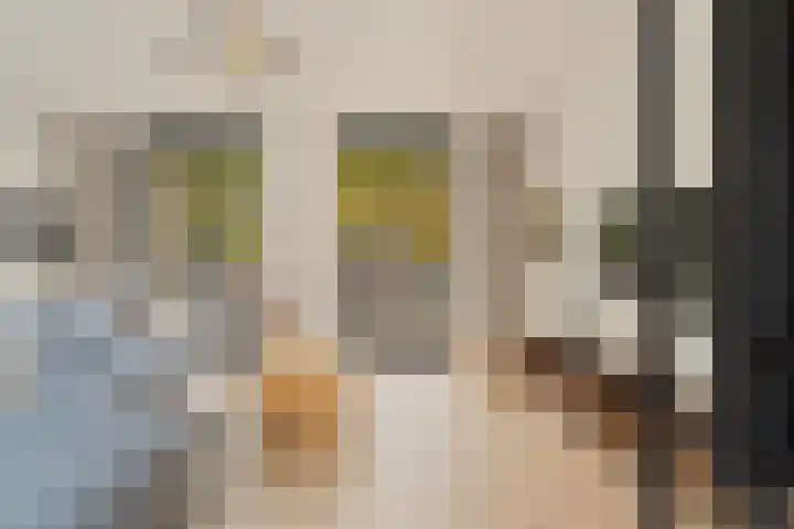 Hommelstraat 17 Rotterdam thumbnail 17