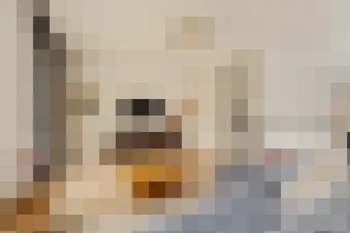 Hommelstraat 17 Rotterdam thumbnail 20