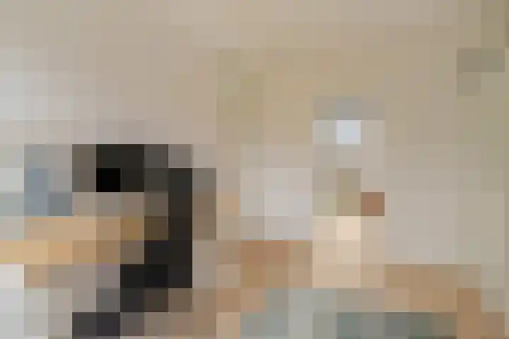 Hommelstraat 17 Rotterdam thumbnail 32