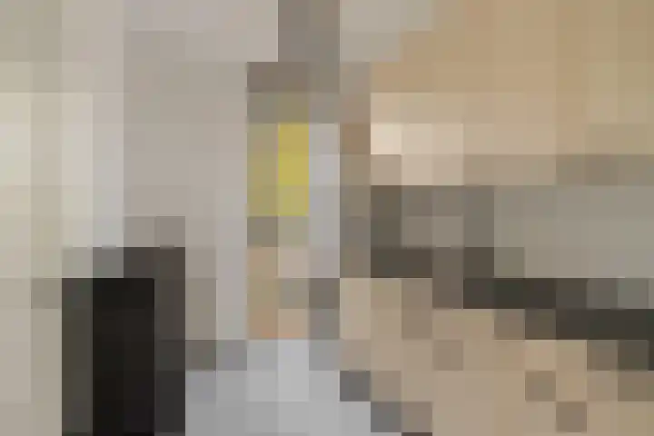Hommelstraat 17 Rotterdam thumbnail 34