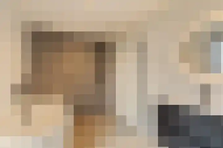 Hommelstraat 17 Rotterdam thumbnail 4