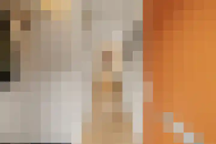 Hommelstraat 17 Rotterdam thumbnail 6
