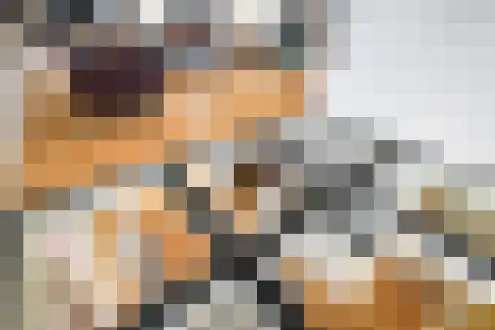 Hommelstraat 21 Rotterdam thumbnail 16