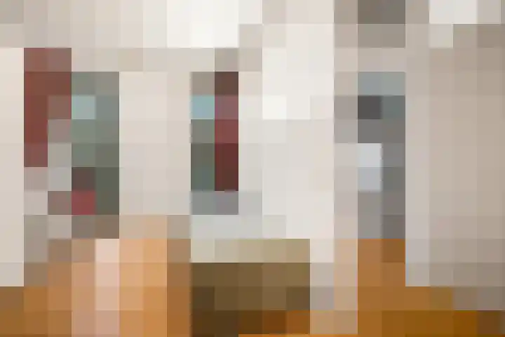 Hommelstraat 21 Rotterdam thumbnail 27
