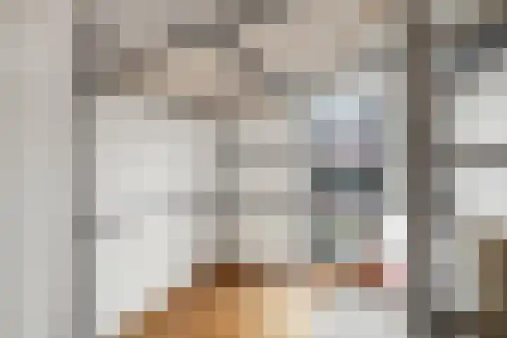 Hommelstraat 21 Rotterdam thumbnail 30