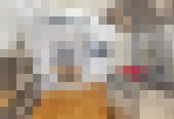 Hommelstraat 21 Rotterdam thumbnail 4