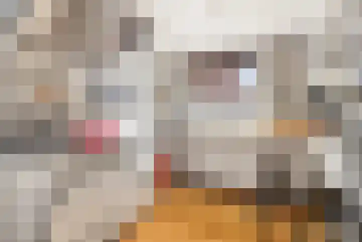 Hommelstraat 21 Rotterdam thumbnail 6
