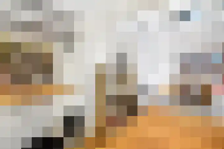 Hommelstraat 21 Rotterdam thumbnail 9