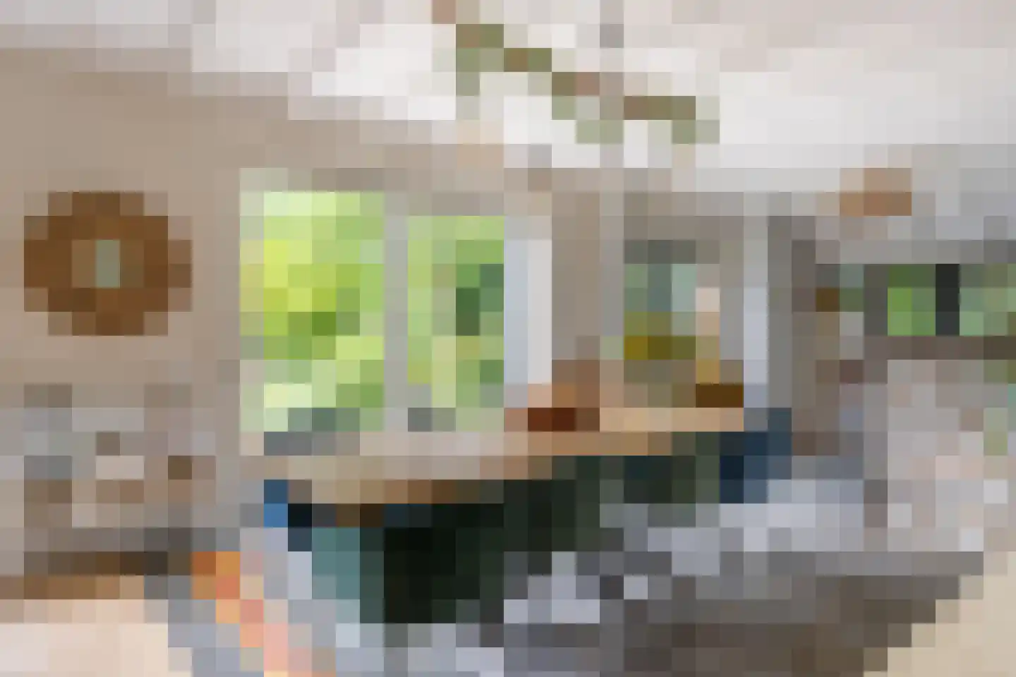 Hommelstraat 3 Empe thumbnail 11