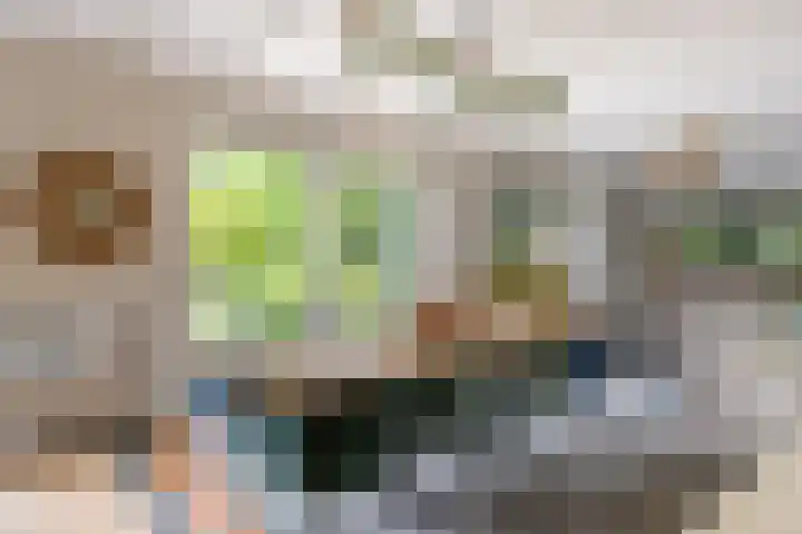 Hommelstraat 3 Empe thumbnail 11