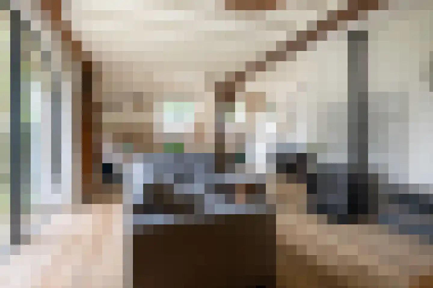 Hommelstraat 3 Empe thumbnail 14