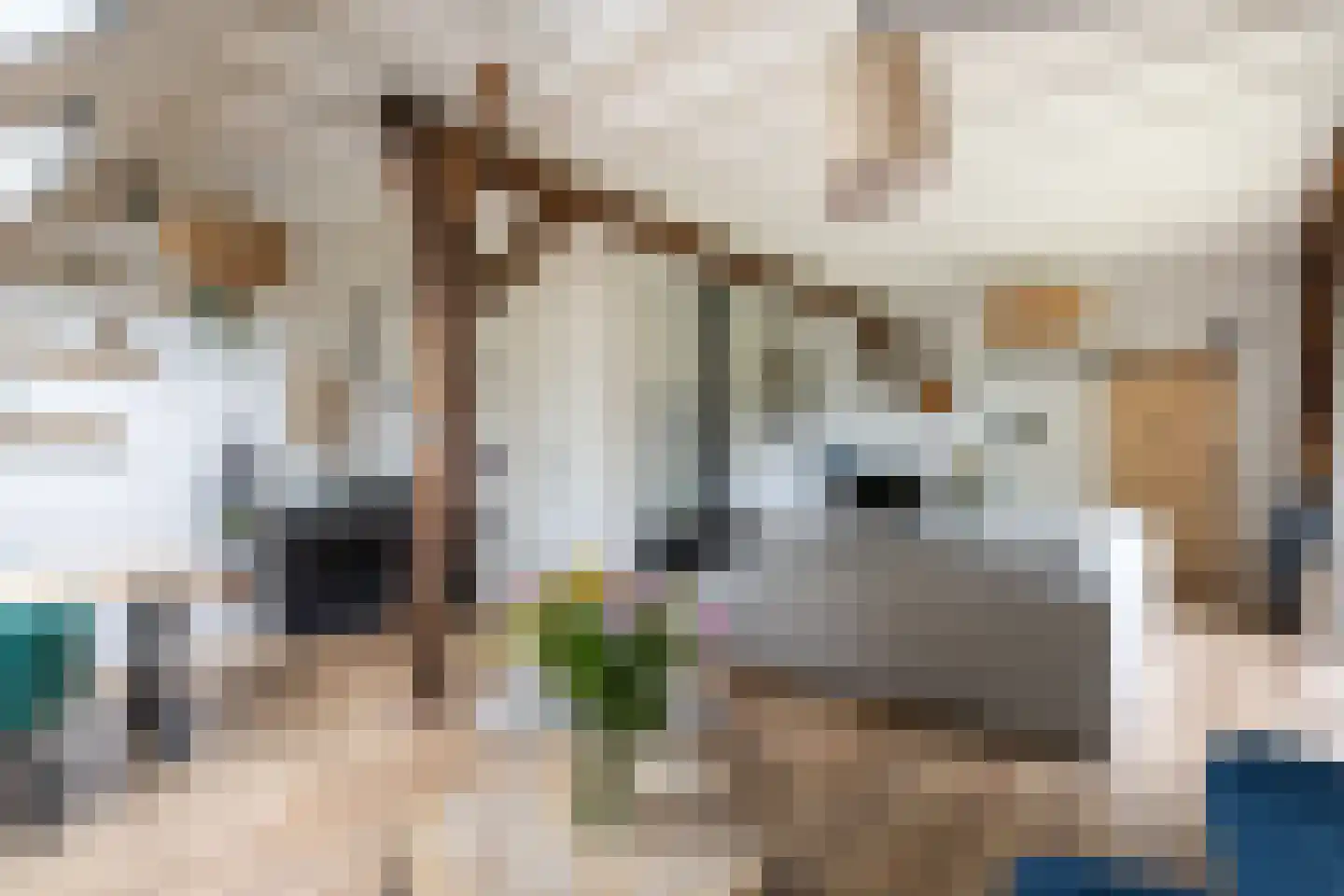 Hommelstraat 3 Empe thumbnail 16