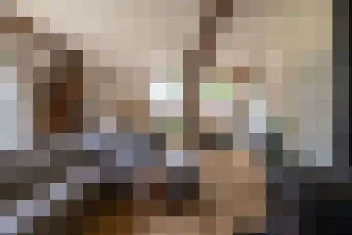Hommelstraat 3 Empe thumbnail 17