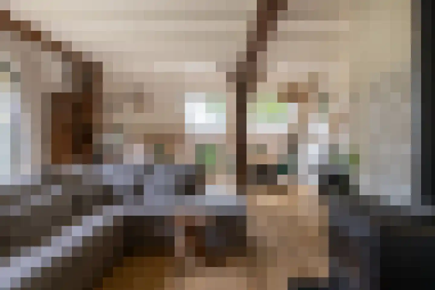 Hommelstraat 3 Empe thumbnail 17