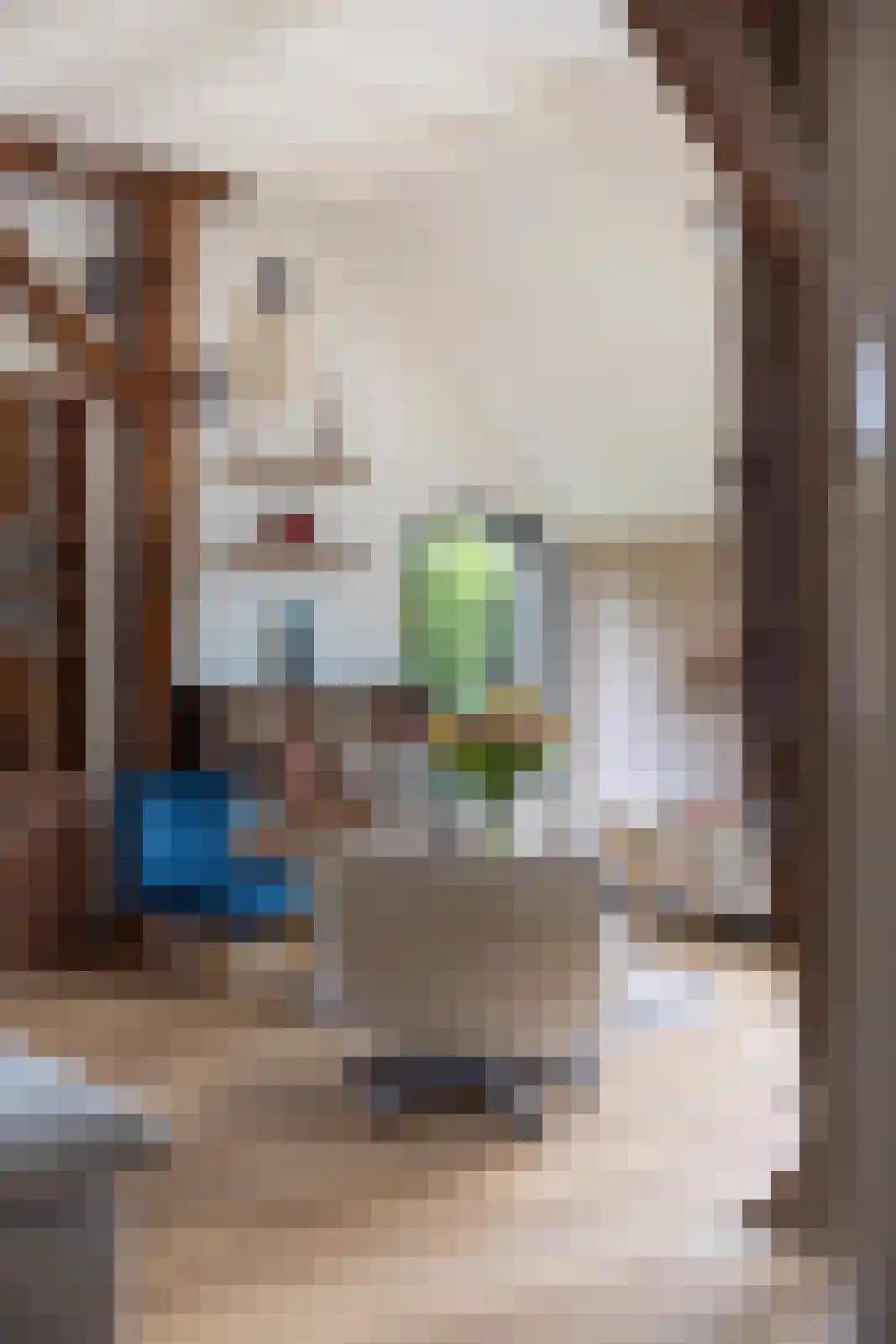 Hommelstraat 3 Empe thumbnail 18