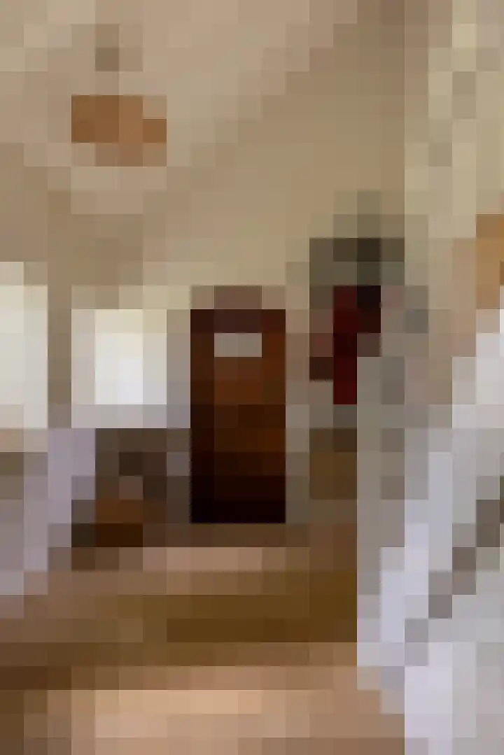 Hommelstraat 3 Empe thumbnail 23
