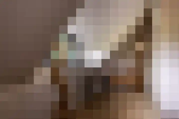 Hommelstraat 3 Empe thumbnail 25
