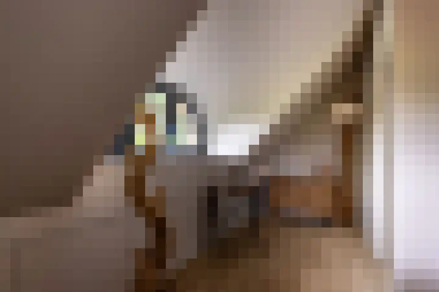 Hommelstraat 3 Empe thumbnail 25