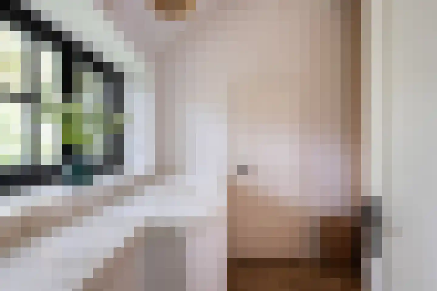 Hommelstraat 3 Empe thumbnail 26
