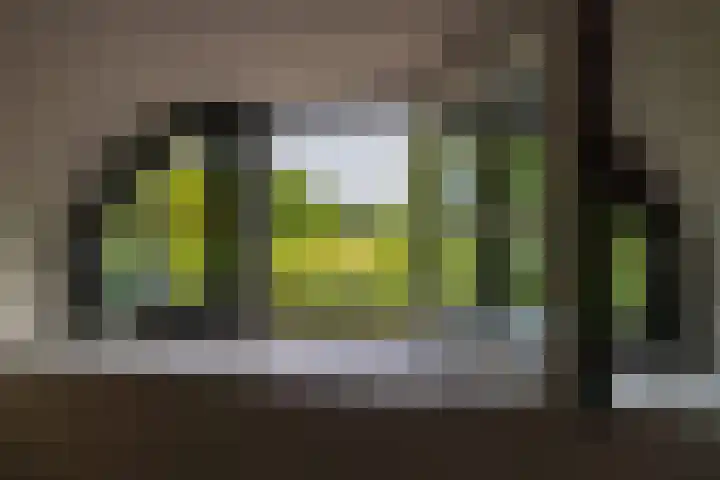 Hommelstraat 3 Empe thumbnail 29