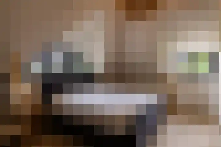 Hommelstraat 3 Empe thumbnail 30