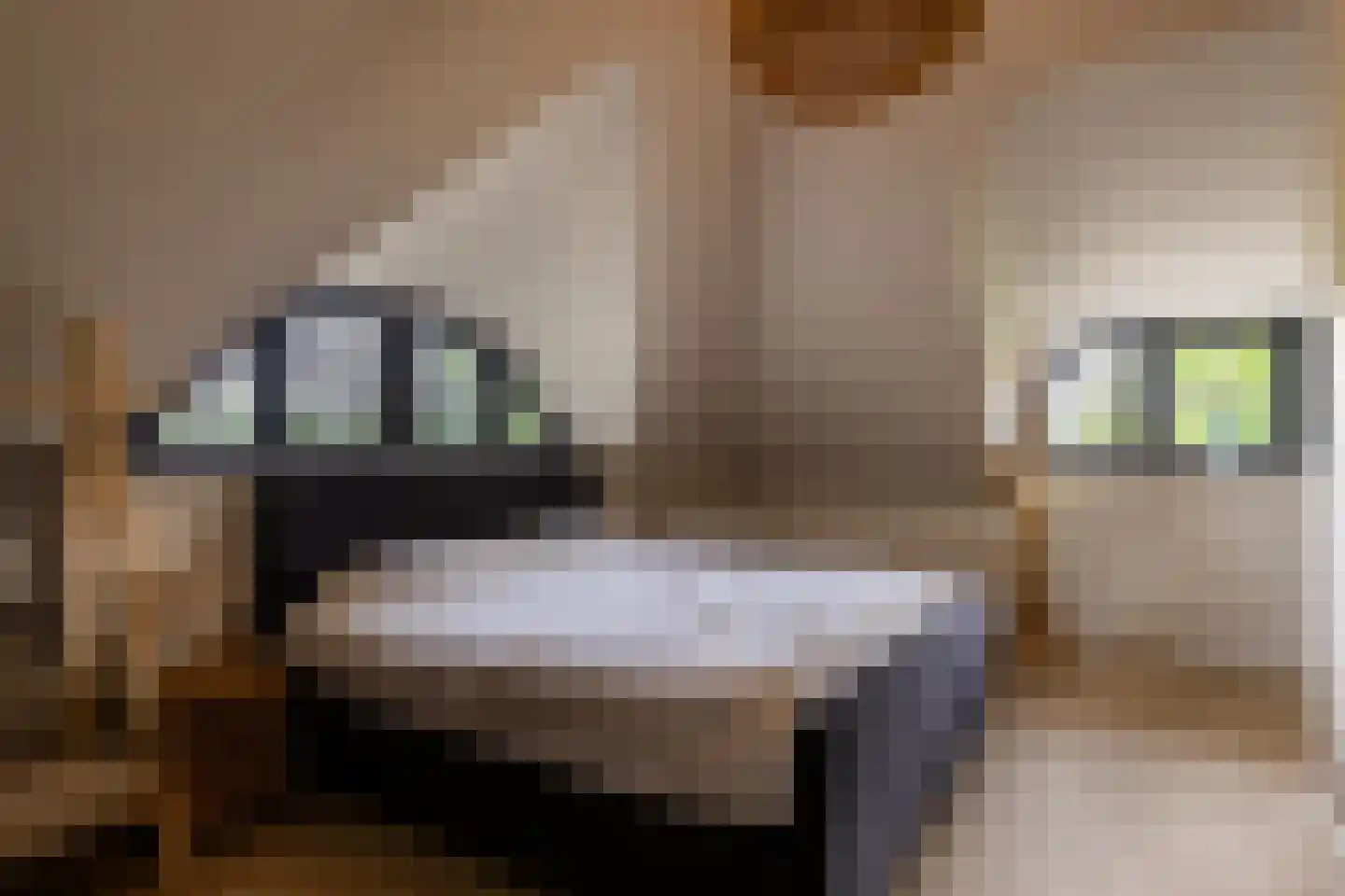 Hommelstraat 3 Empe thumbnail 30