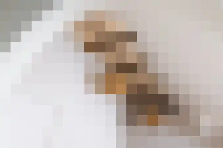 Hommelstraat 3 Empe thumbnail 32