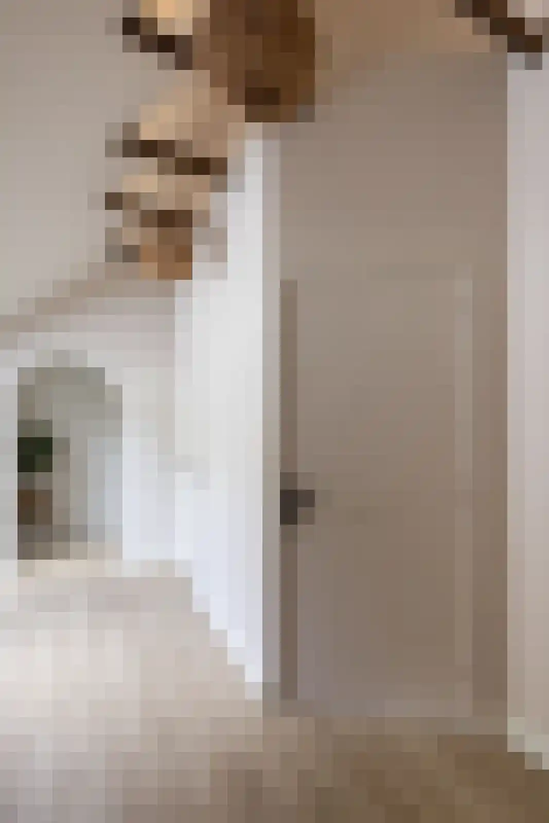 Hommelstraat 3 Empe thumbnail 33