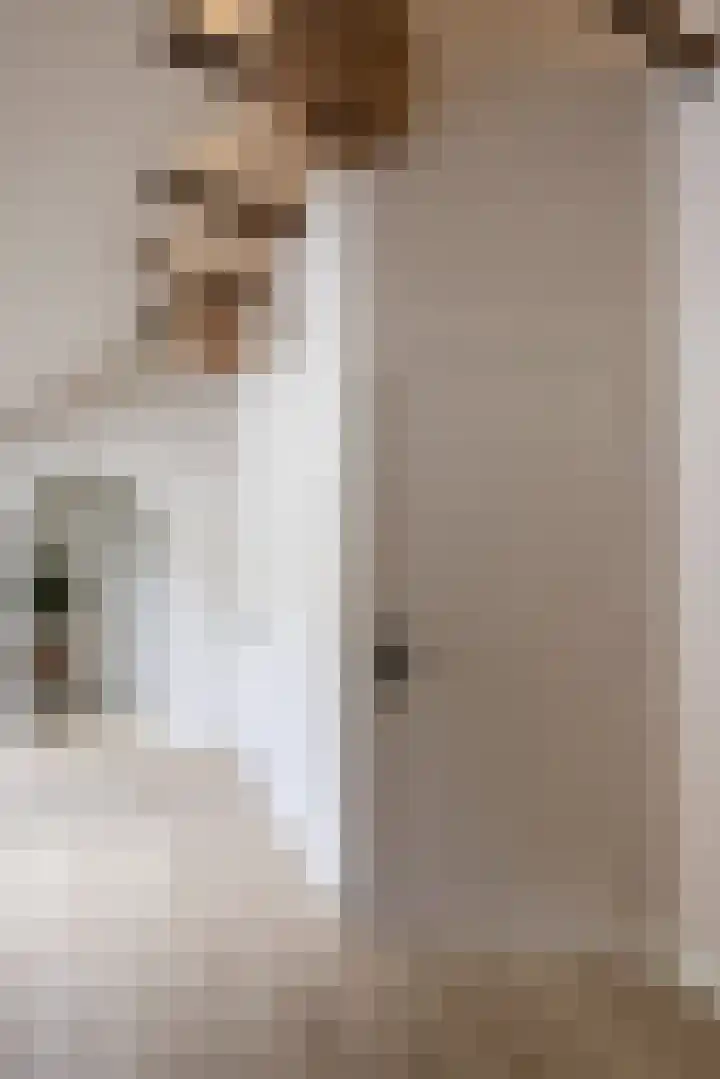Hommelstraat 3 Empe thumbnail 33