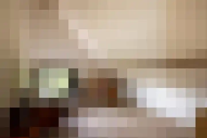 Hommelstraat 3 Empe thumbnail 39