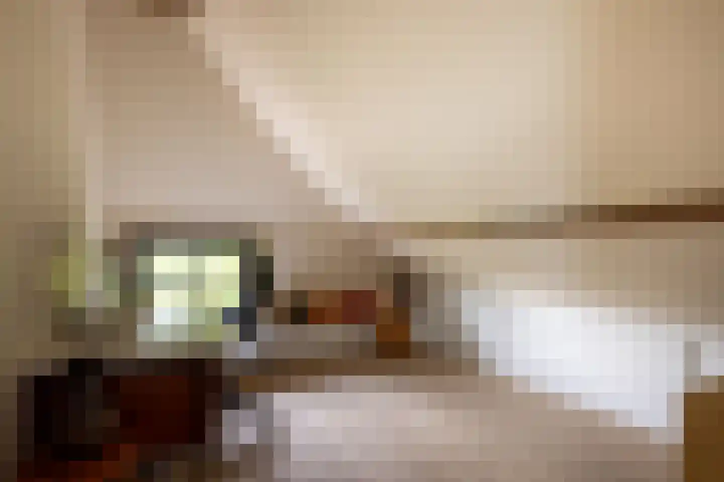 Hommelstraat 3 Empe thumbnail 39