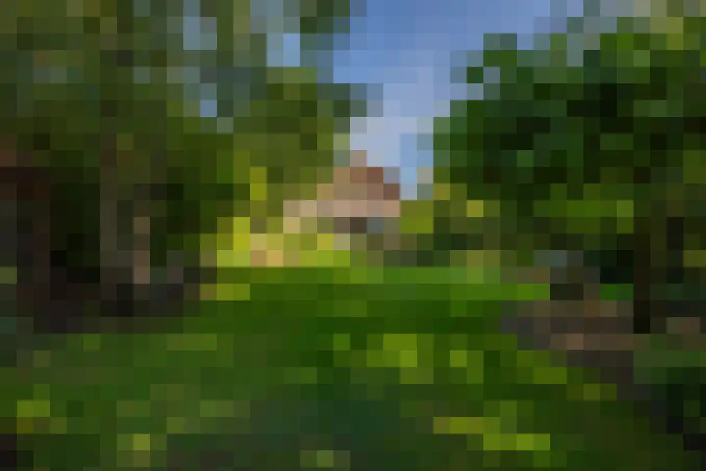 Hommelstraat 3 Empe thumbnail 40