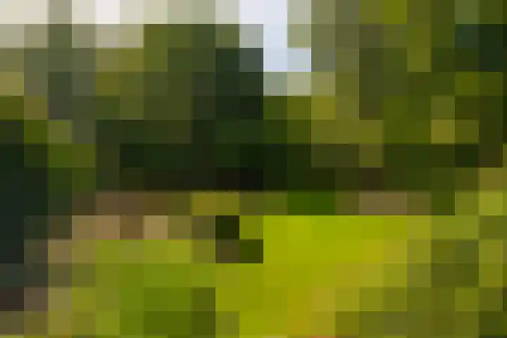 Hommelstraat 3 Empe thumbnail 42