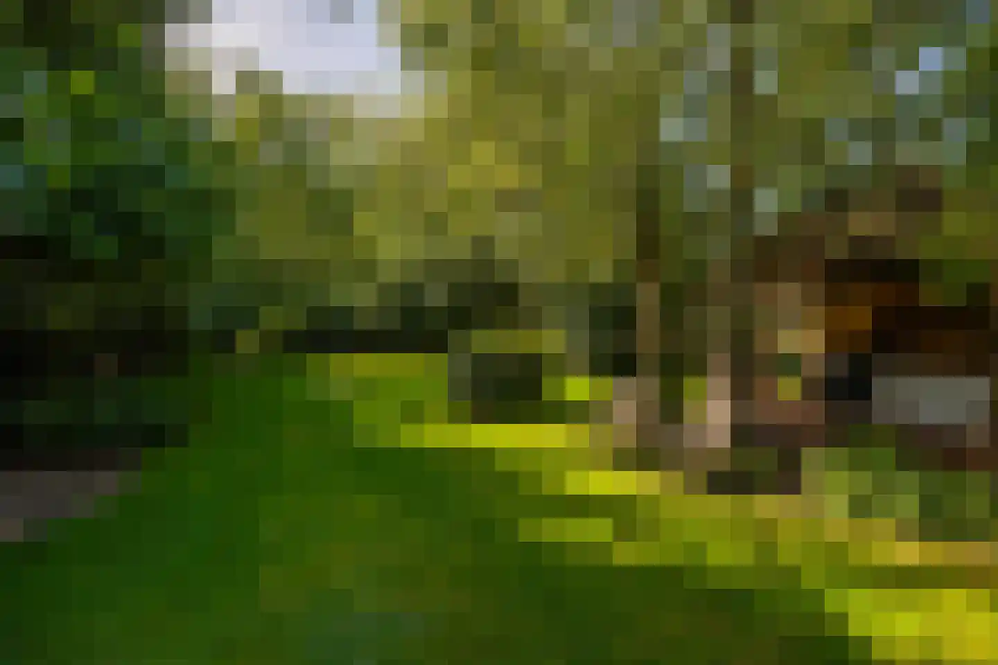 Hommelstraat 3 Empe thumbnail 43