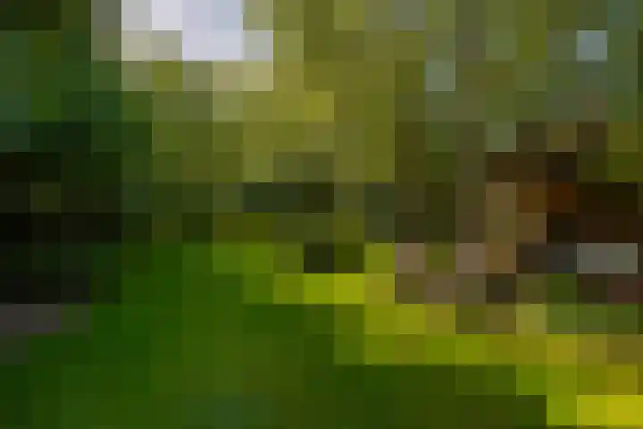 Hommelstraat 3 Empe thumbnail 43