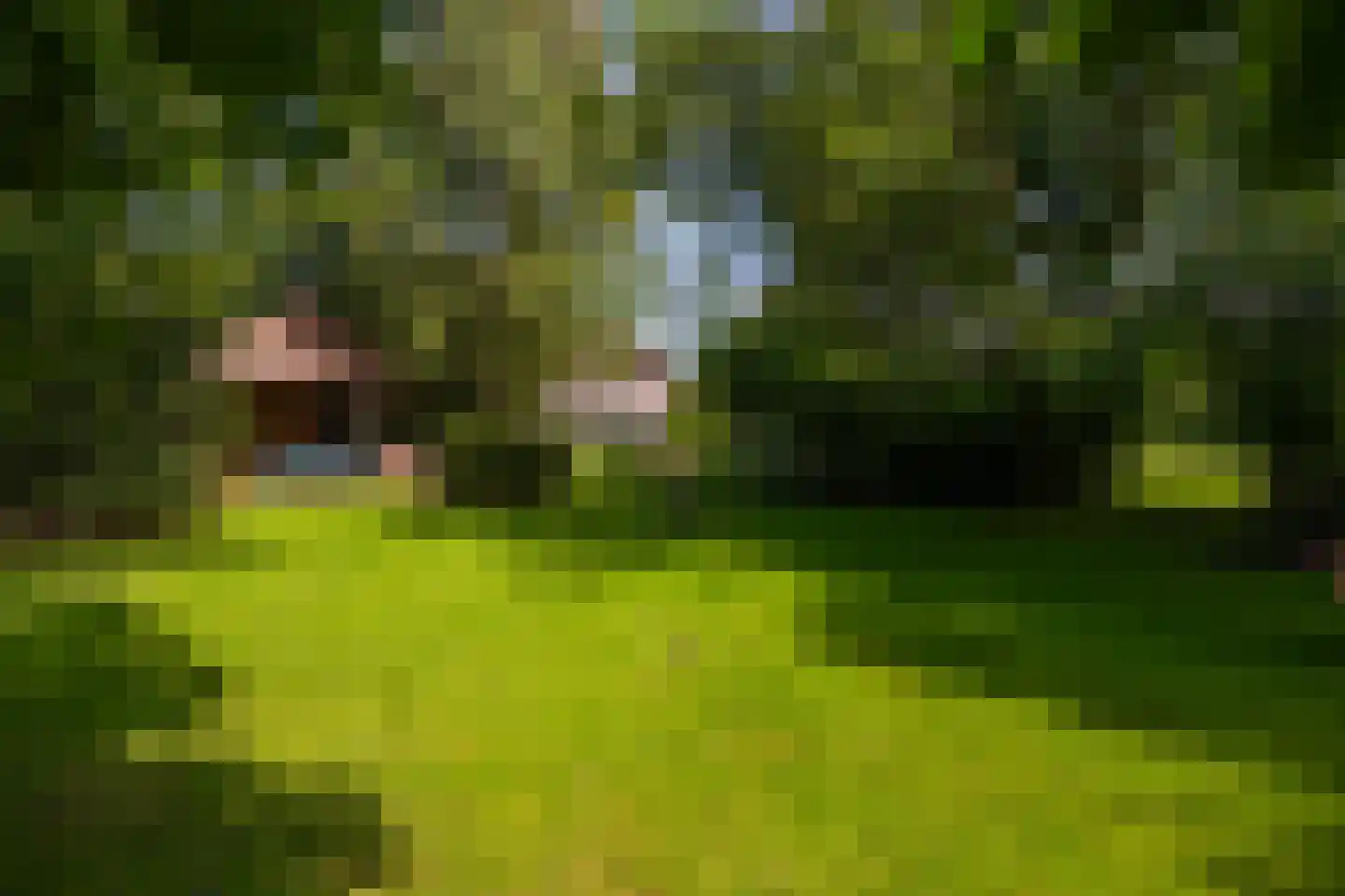 Hommelstraat 3 Empe thumbnail 44