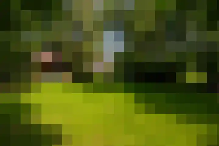 Hommelstraat 3 Empe thumbnail 44