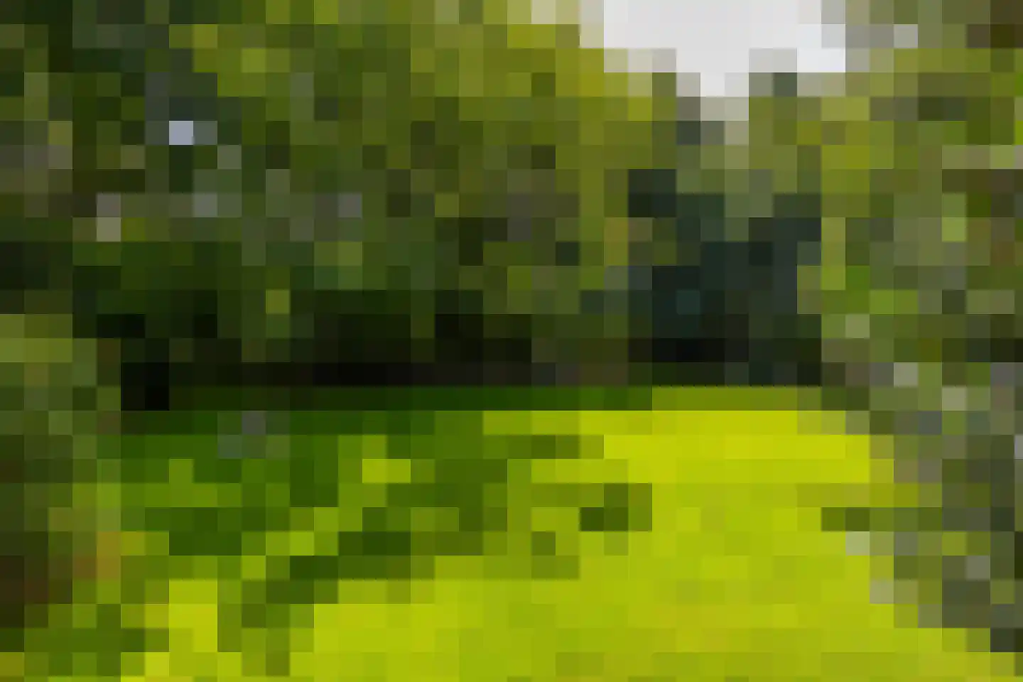 Hommelstraat 3 Empe thumbnail 45