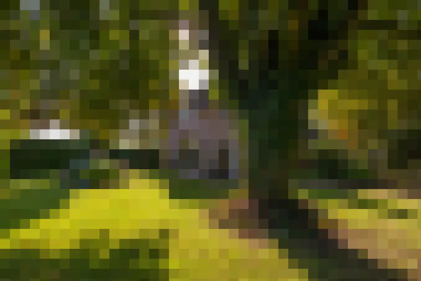 Hommelstraat 3 Empe thumbnail 46