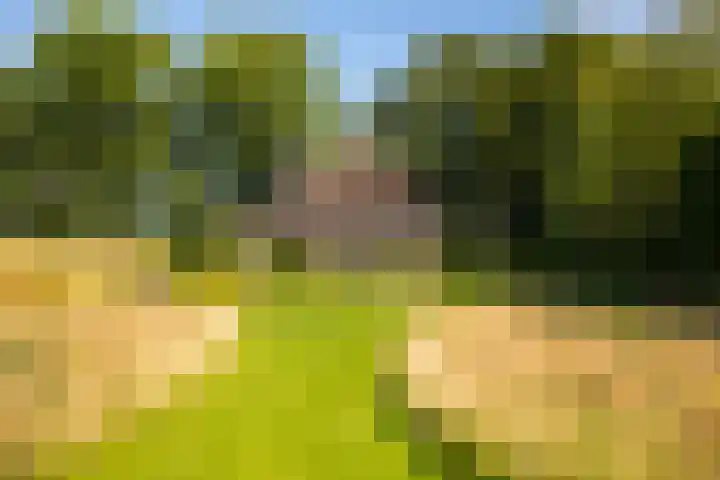 Hommelstraat 3 Empe thumbnail 47