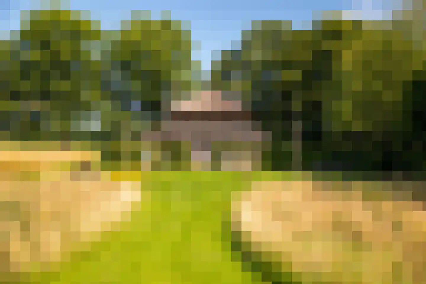 Hommelstraat 3 Empe thumbnail 47
