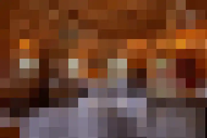Hommelstraat 3 Empe thumbnail 50
