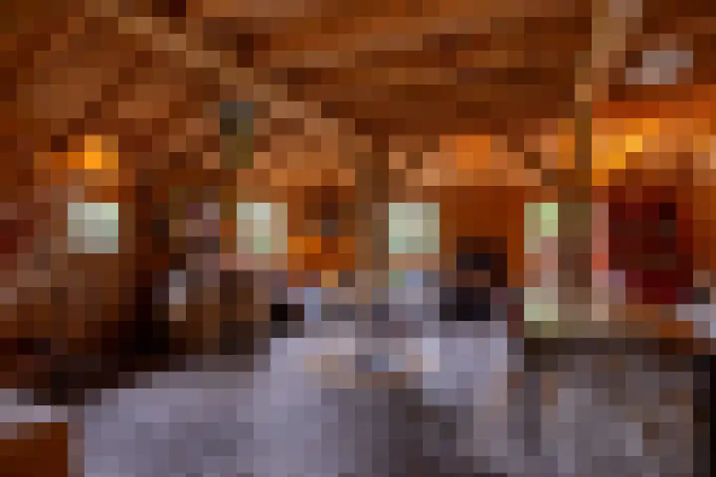 Hommelstraat 3 Empe thumbnail 50