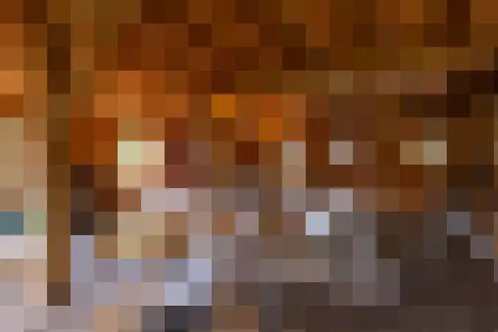 Hommelstraat 3 Empe thumbnail 52
