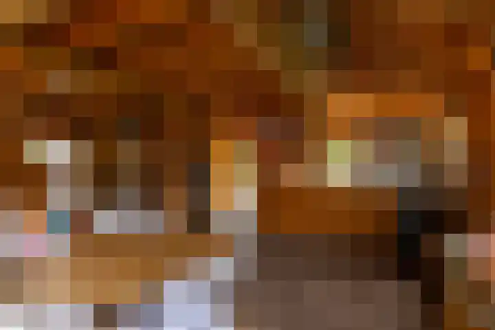Hommelstraat 3 Empe thumbnail 53