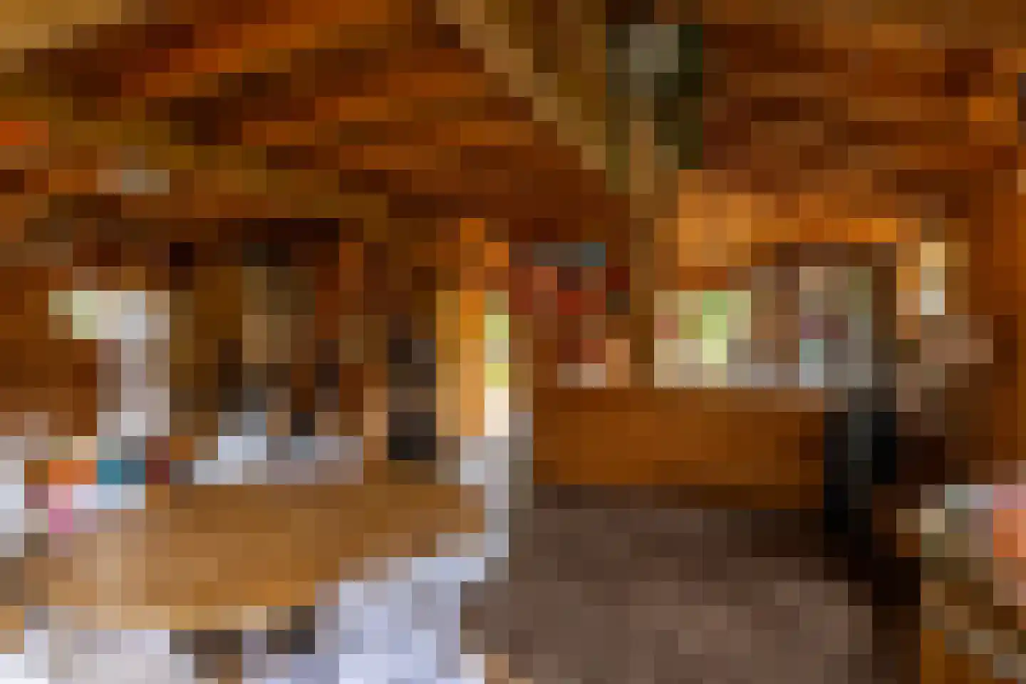 Hommelstraat 3 Empe thumbnail 53
